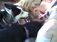 Horny ladies getting screwed by the dog 